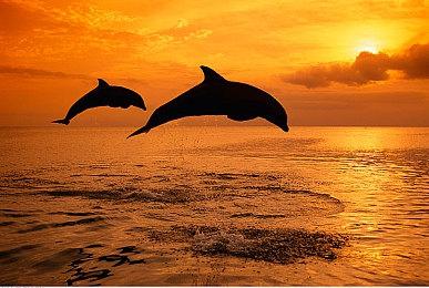 《Apex英雄》第11赛季宣传片 新海岛地图曝光